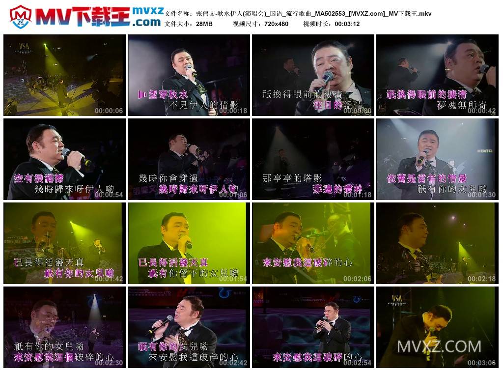 张伟文-秋水伊人(演唱会)_国语_流行歌曲_MA502553